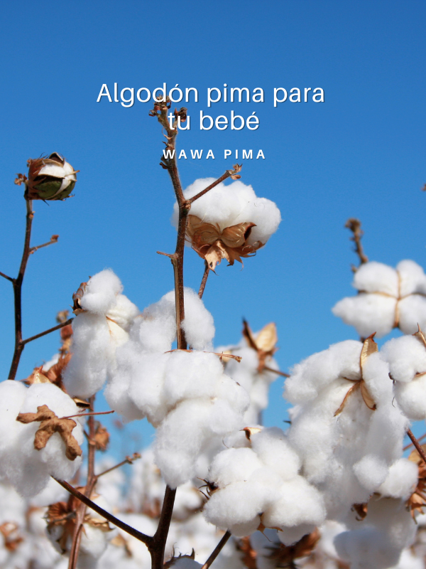 banner-mobile-algodon-pima-web