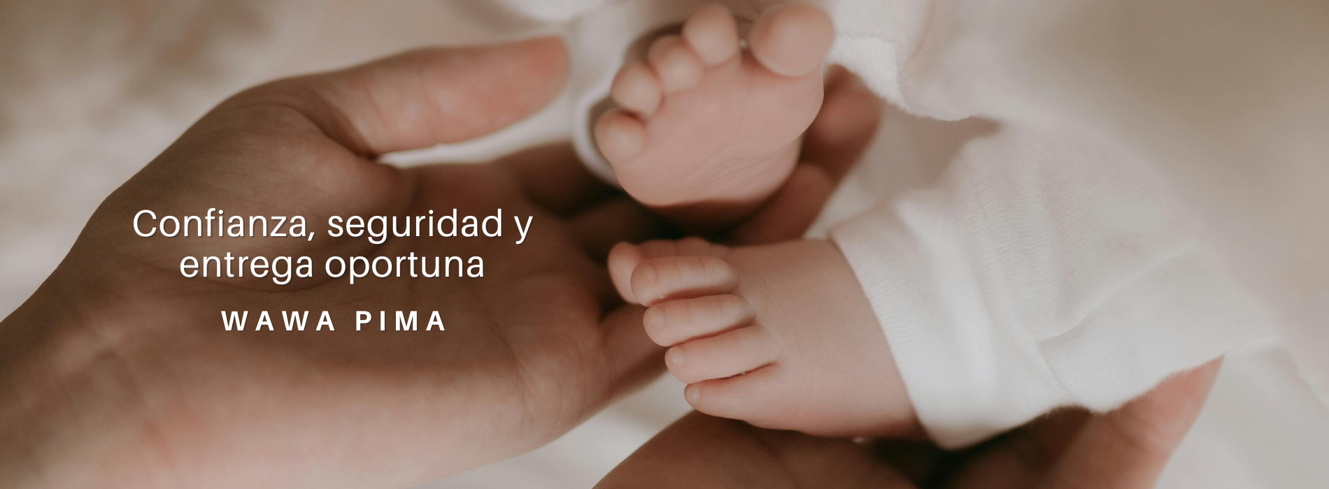 banner-web-confianza-web