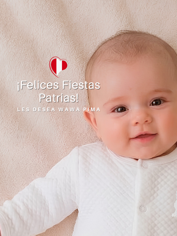 banner-mobile-fiestas-patrias
