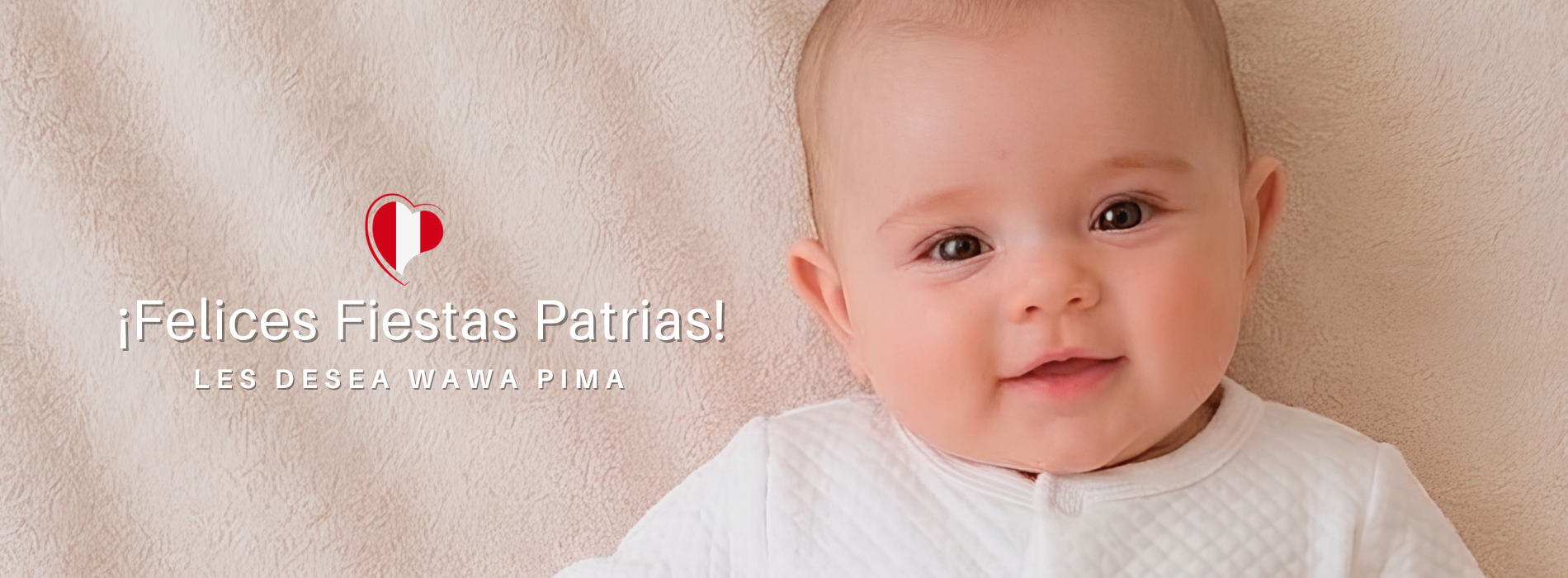 banner-web-fiestas-patrias
